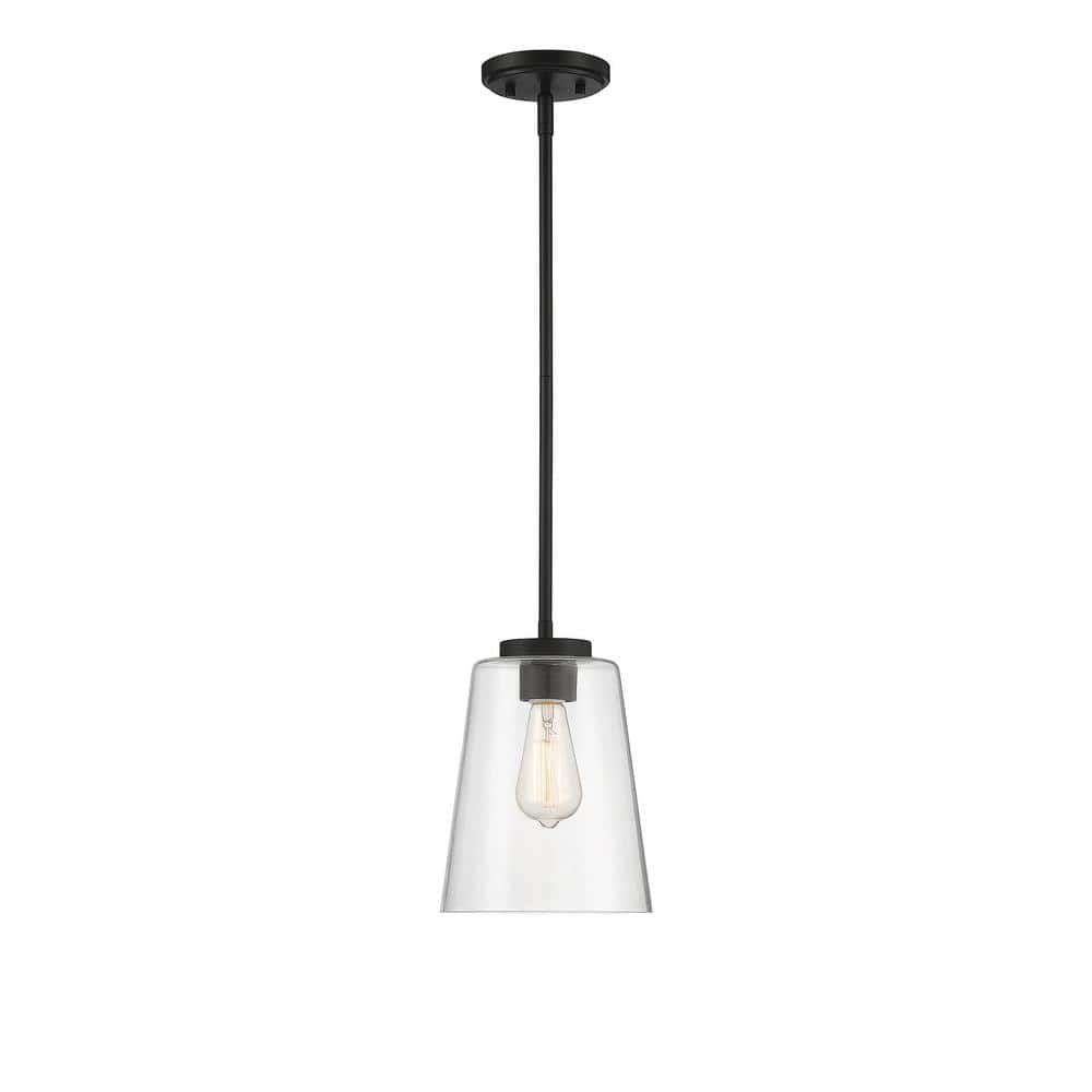 Calhoun 15 in. W x 18 in. H 3-Light Matte Black Pendant with Clear Glass Shade price history on PriceWatchPro