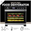 ChefWave Secco Pro Food Dehydrator with 10 Drying Racks (Stainless Steel) -  CW-FD10