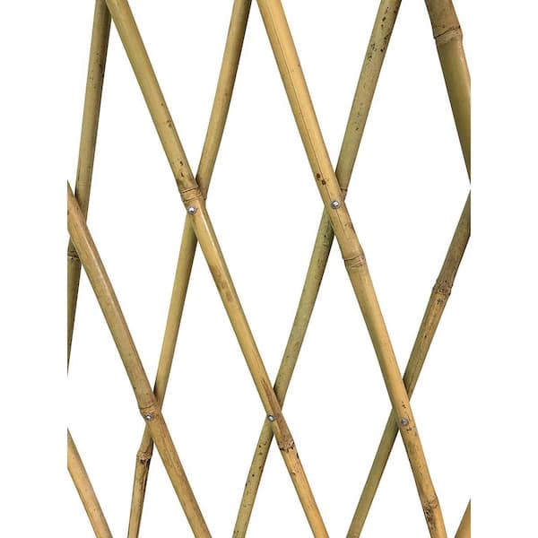 MGP 36 in. H Expandable Bamboo Poles Trellis BFF-36P - The Home Depot