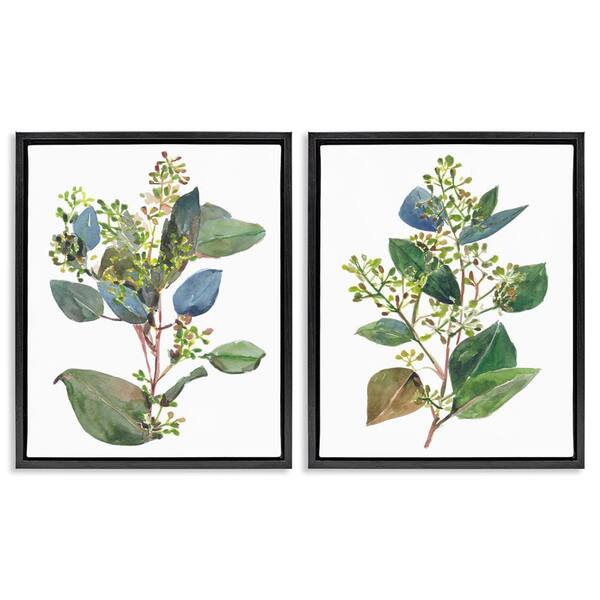 Soft Eucalyptus Plant Ombre Leaves by Melissa Wang 2 Piece Black Floater Frame Graphic Art Print Nature 25 in. x 31 in.