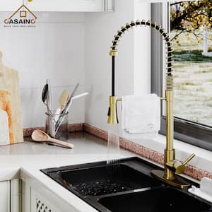 Single-Handle Spring Pull Down Sprayer Kitchen Faucet in Brushed Gold with Dual Function Sprayhead and Deckplate