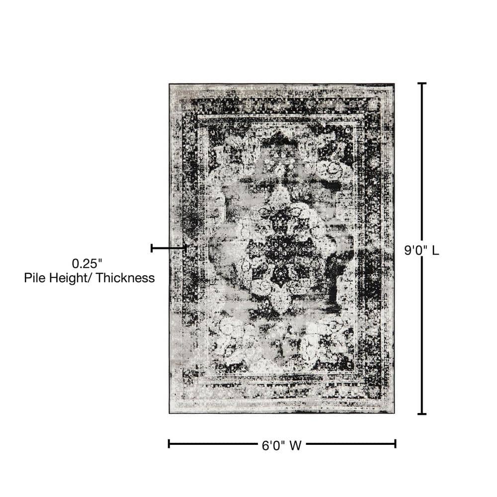 Salle Garnier Black and Gray Low Pile Area Rug