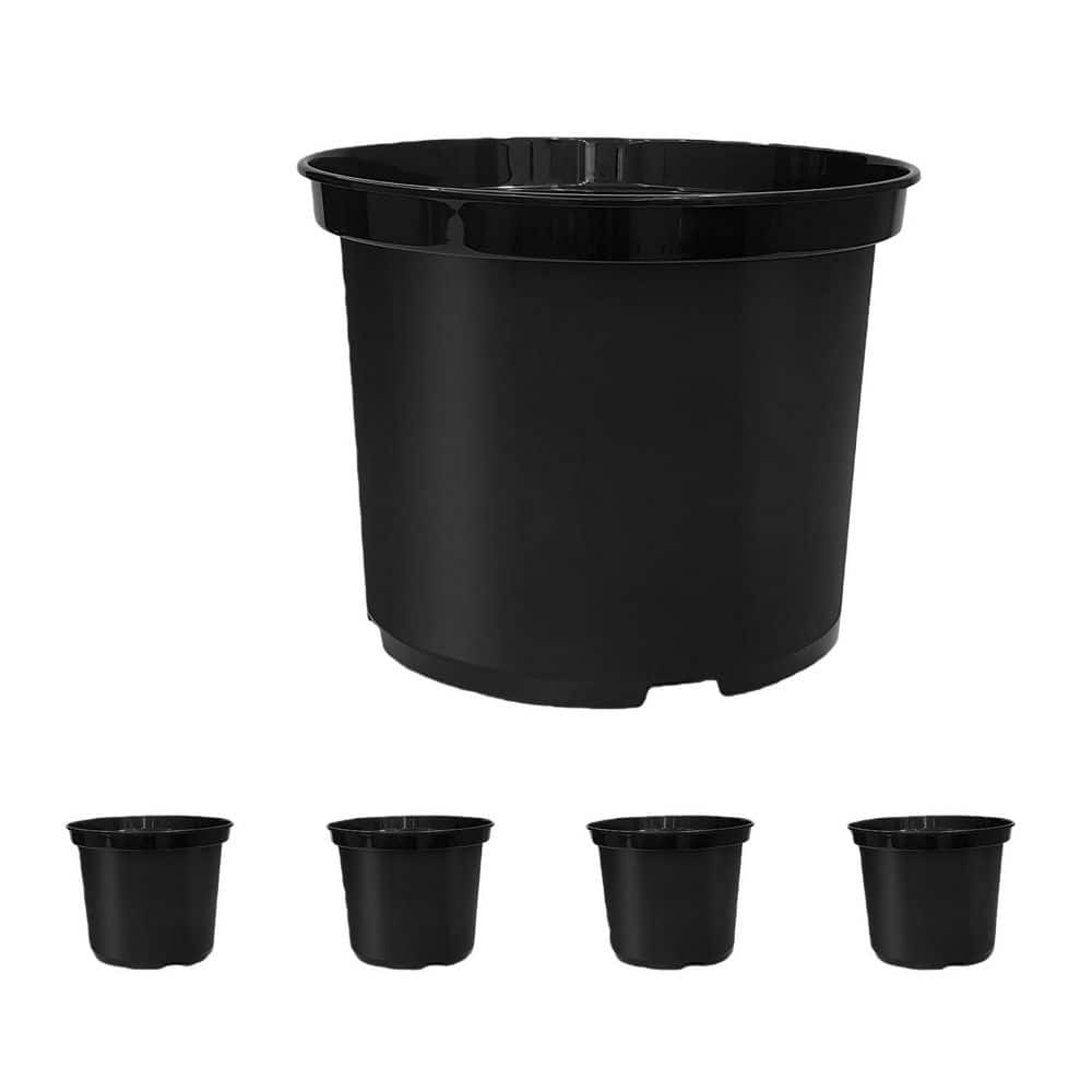 succulent in pot Prestige Succulent Planter | Lexington, KY