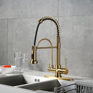 Double-Handles Pull Down Sprayer Kitchen Faucet with Drinking Water Filter in Solid Brass in Brushed Gold