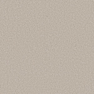 Enchanted - Color Nutria 61 oz. Polyester Texture Beige Installed Carpet