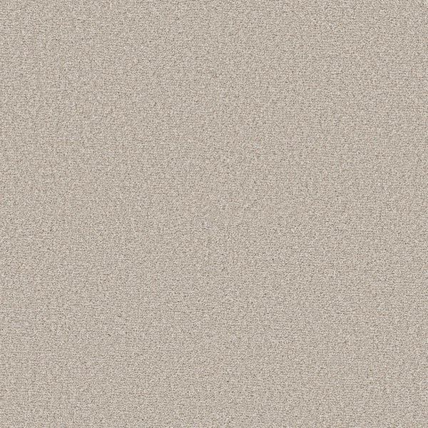 Home Decorators Collection Enchanted - Color Nutria 61 oz. Polyester Texture Beige Installed Carpet