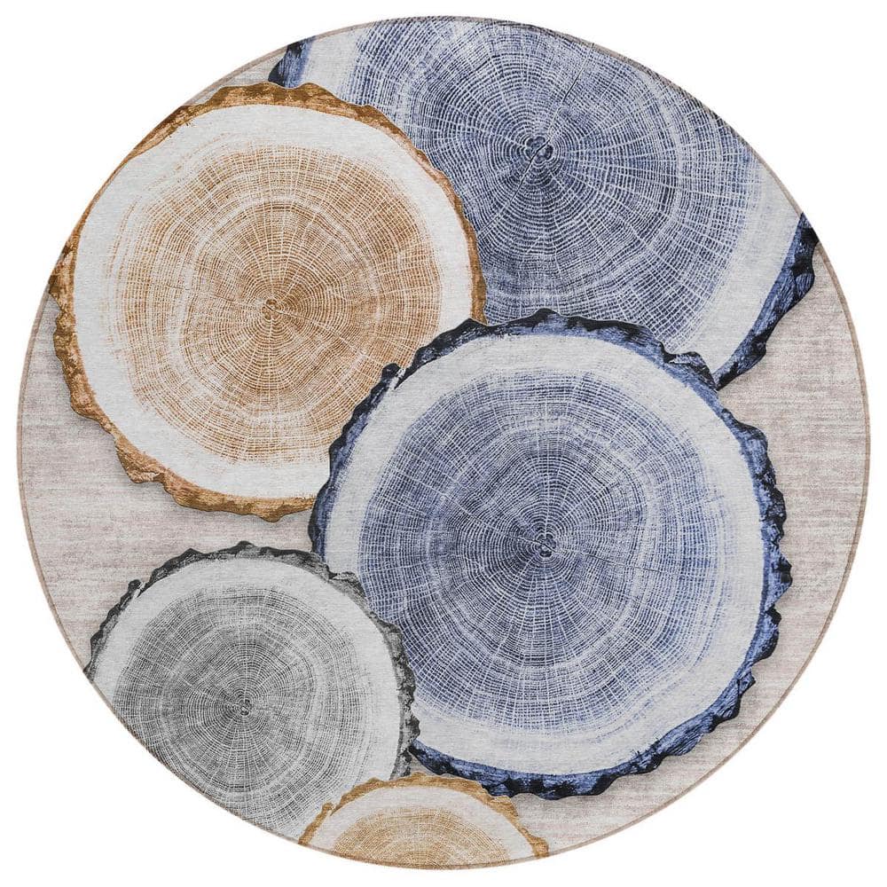 Beige Blue and Gold 8 ft. Round Woven Geometric Round Indoor/Outdoor Area Rug price history on PriceWatchPro