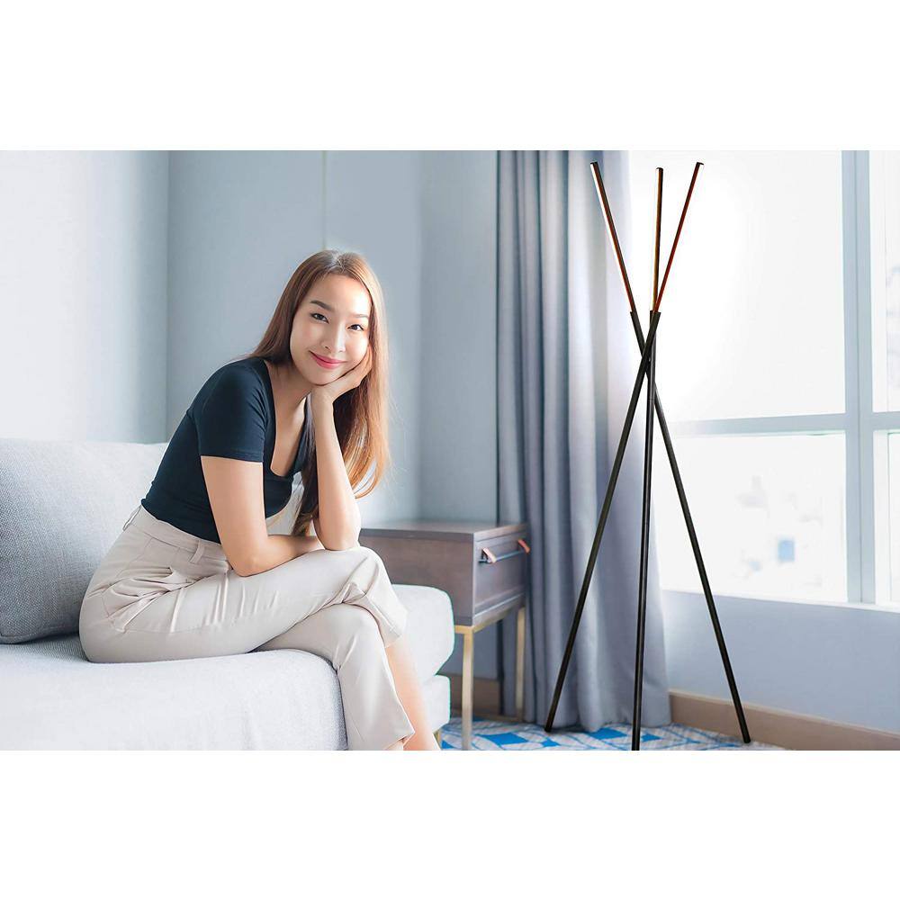 Modern Black 60" LED Tripod Floor Lamp with Energy Star