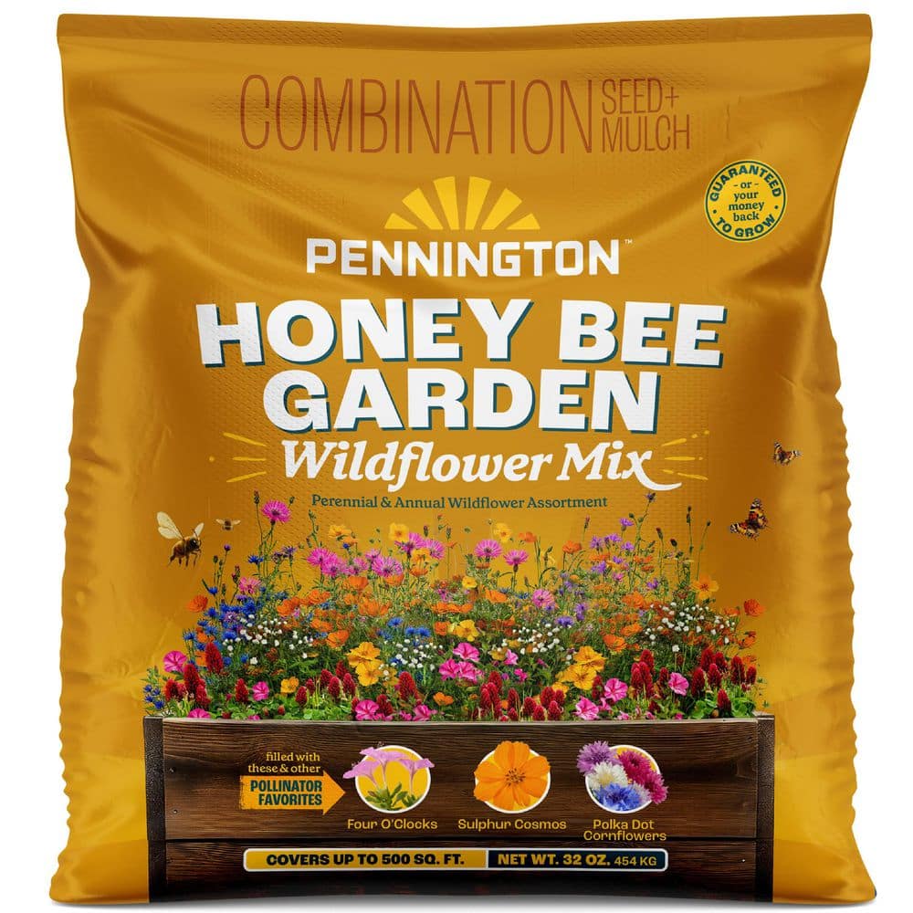 flower-seeds-100552434-64_1000.jpg