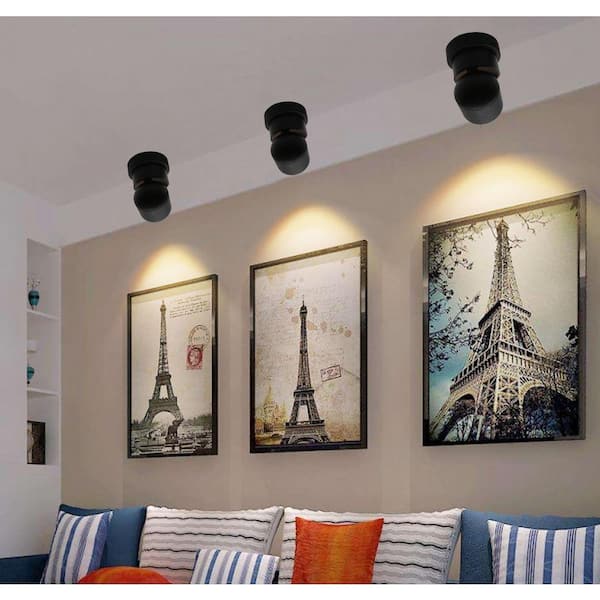 Lecoht 4 in. Black LED Ceiling Spotlight Picture Light (2-Pack