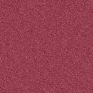 Watercolors II - Ballerina - Red 38.4 oz. Polyester Texture Installed Carpet