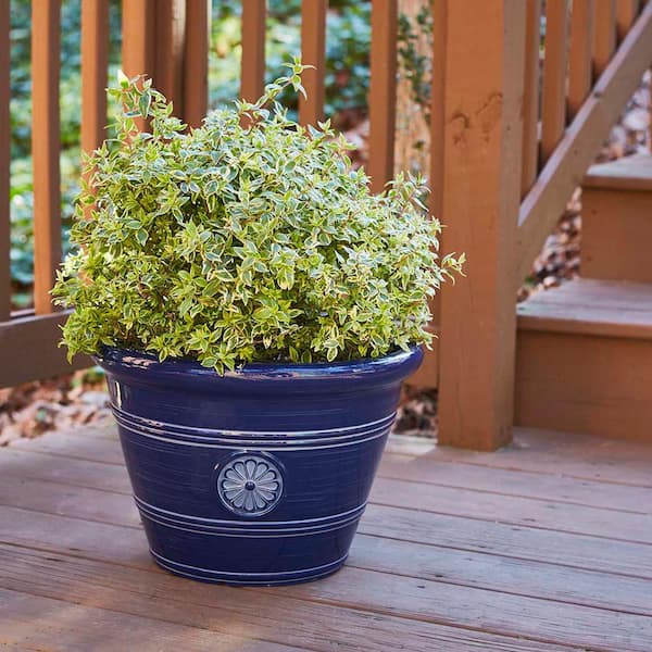 Southern Patio Modesto Large 15.25 in. x 10.5 in. 17 Qt. Navy