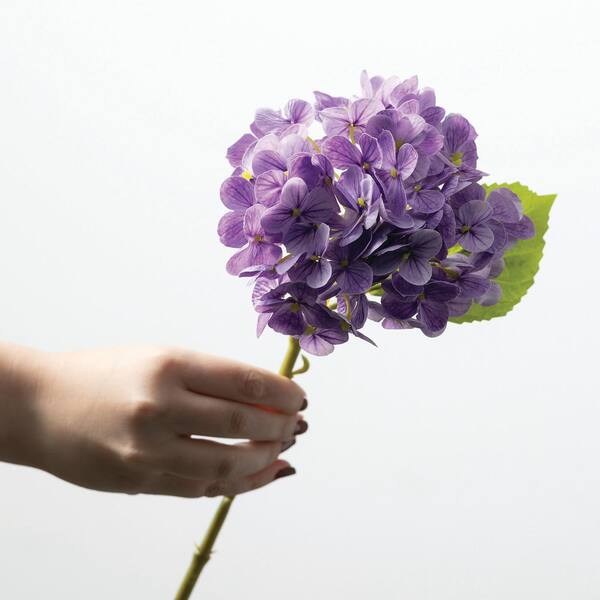 Hydrangea4937　0203 Sullivans Artificial 13