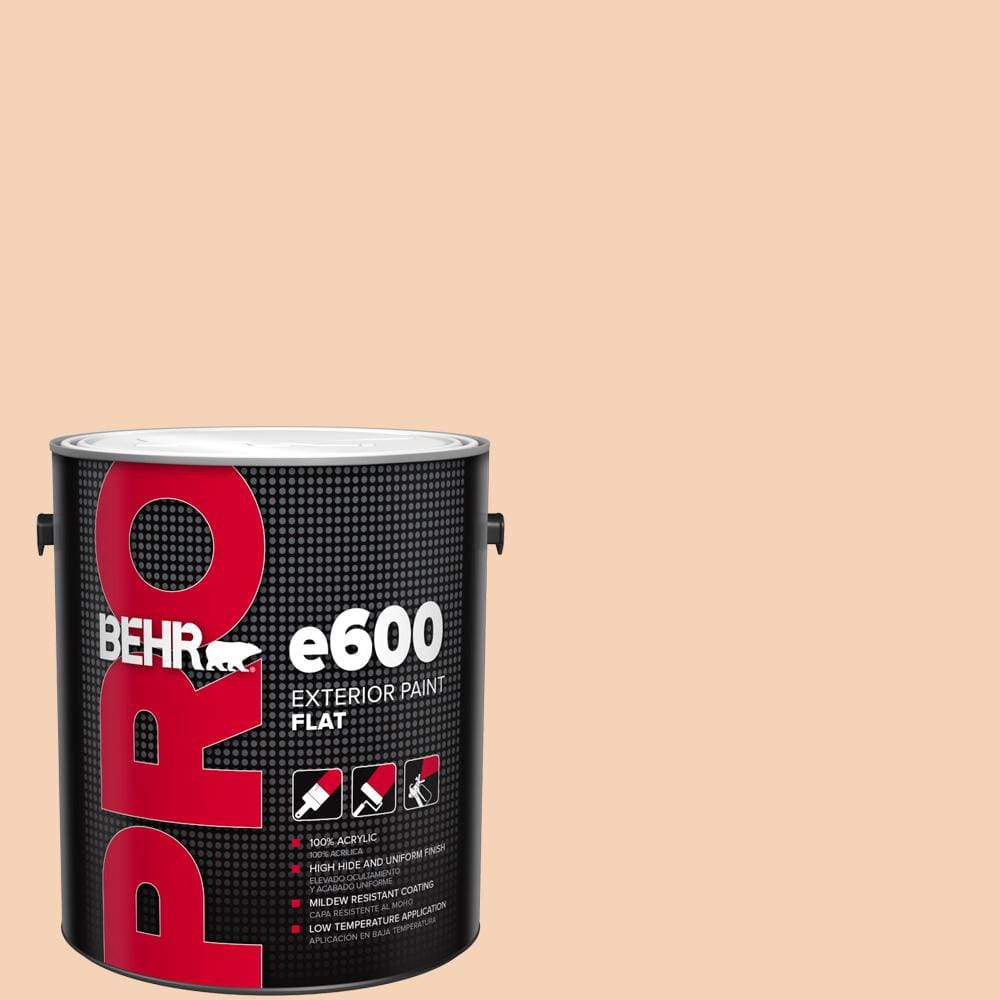 1 gal. #280C-2 Serene Peach Flat Paint price history on PriceWatchPro