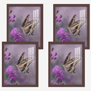 Modern 11 in. x 14 in. Brown Picture Frame (Set of 4)