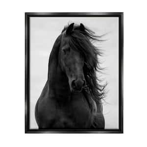 Black Stallion Horse Portrait Soft Sky Photography by Carol Walker Floater Frame Animal Wall Art Print 25 in. x 31 in.