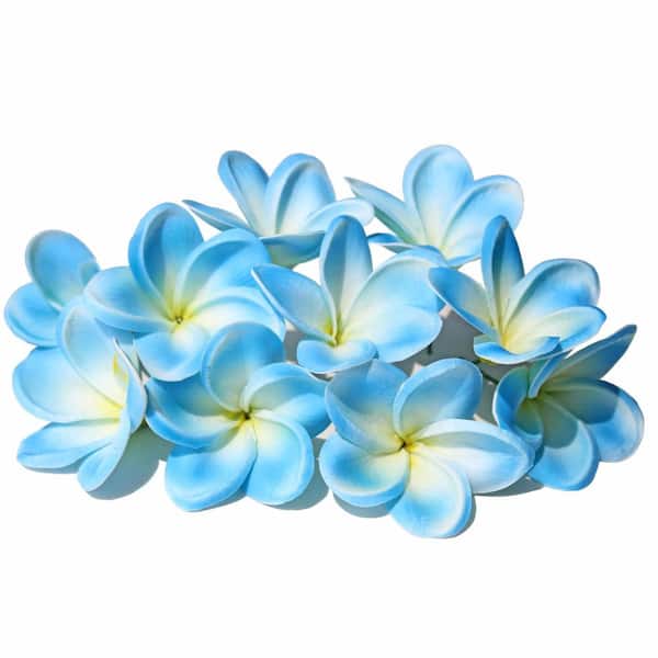 Plumeria　給水器80ml10個　120ml5個150ml5個 3.15 in. Artificial Apricot Indoor Outdoor Plumeria Flowers Real