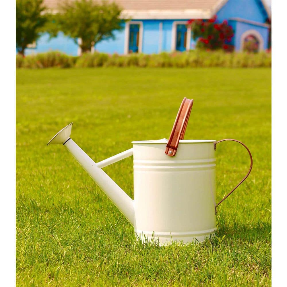 Mordern 1 Gal. White Metal Plant Watering Can with Copper Handles, Galvaniz