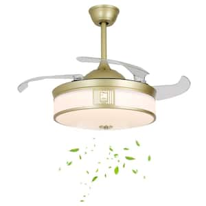 Indoor Copper Modern 6-Speed 42 in. Reversible and Retractable Ceiling Fan with 3-Color Integrated LED and Remote