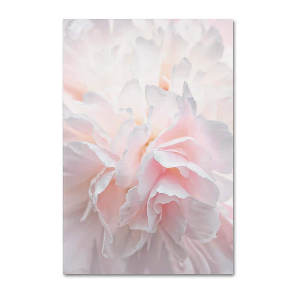 Pink Peony Petals Framed Canvas Art 12" x 19"
