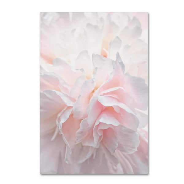 Trademark Fine Art 24 in. x 16 in. "Pink Peony Petals IV" by Cora Niele Printed Canvas Wall Art