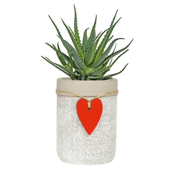 4.75 in. Whitewash Cement Heart Vase Planter