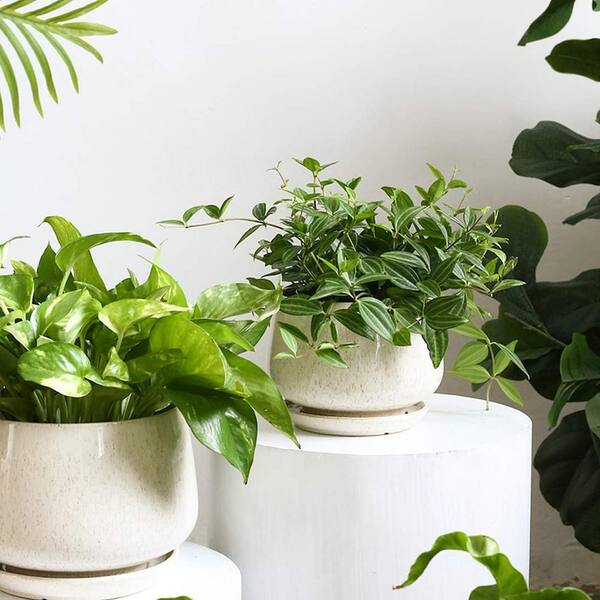 Unbranded - Reactive Glaze Beige Ceramic Indoor/Outdoor Plant Pot with Drainage Hole and Saucer (3-Pack)