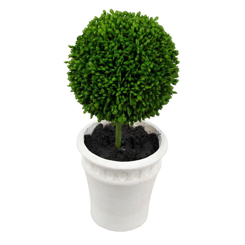 0.79 ft. Artificial Mini Faux Plant Trees, Topiary Trees 3-Pack