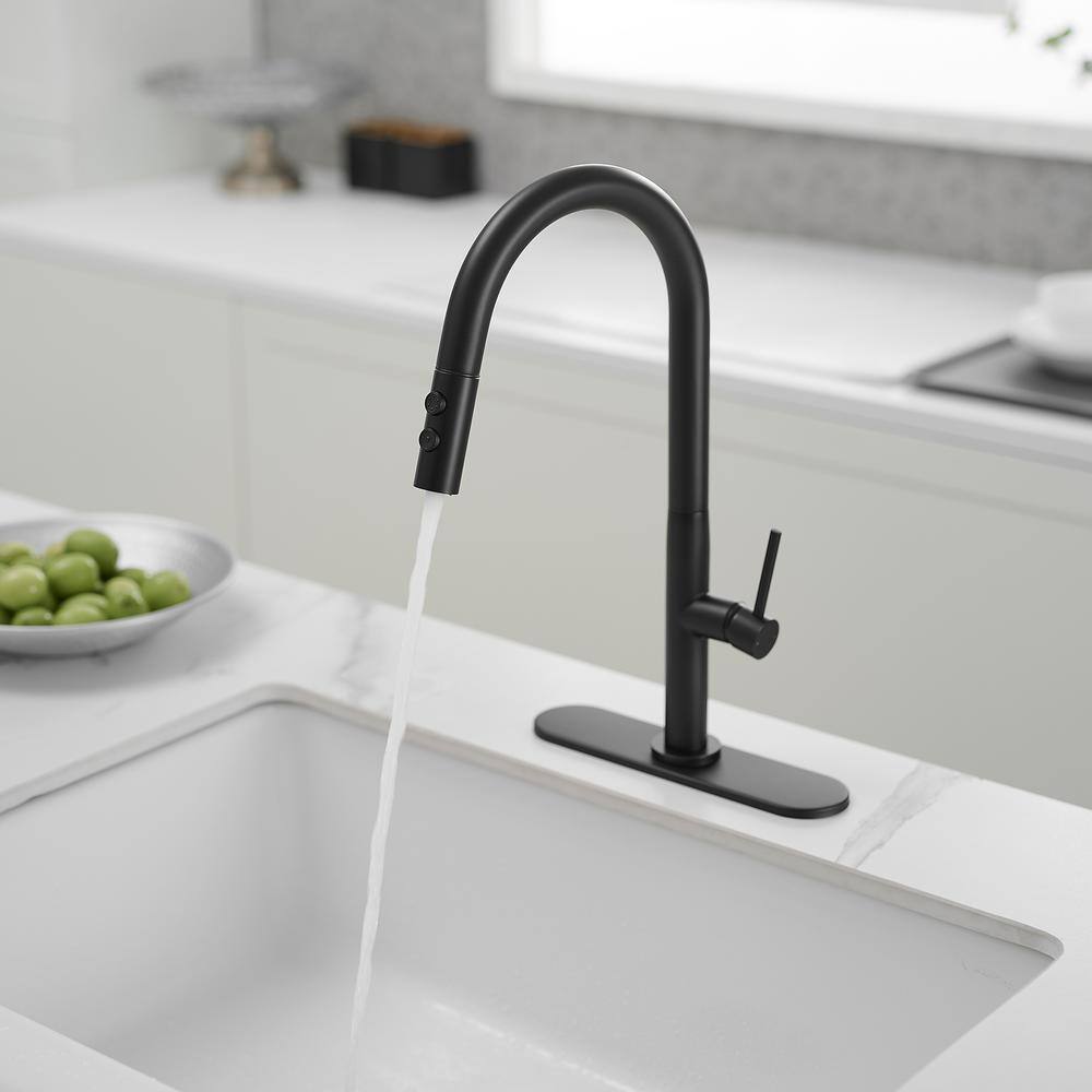 Matte Black Brass High Arc Single Handle Kitchen Faucet