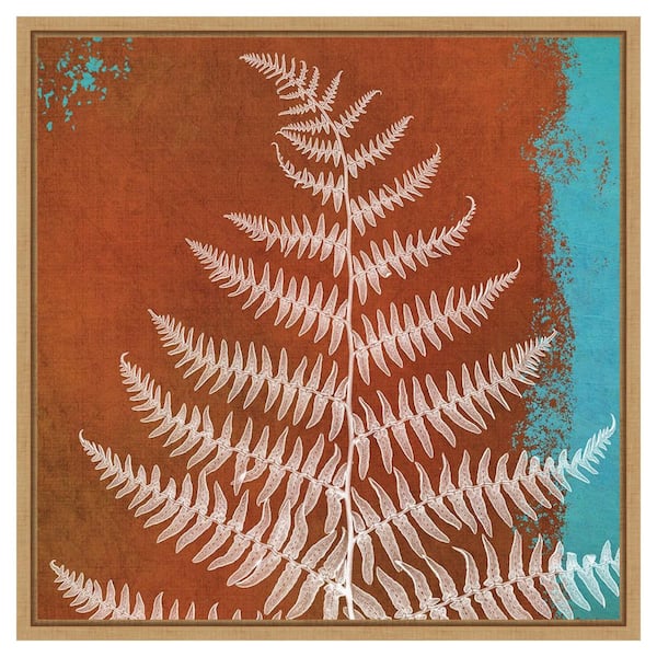 Amanti Art Fern Abstract Study II by Dianne Poinski 1 Piece Floater Frame Canvas Giclee Abstract Art Print 22 in. x 22 in.
