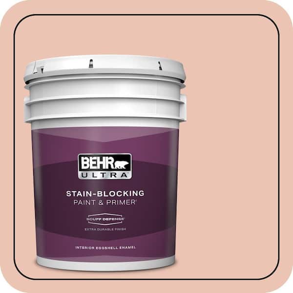 BEHR ULTRA 5 gal. Home Decorators Collection #HDC-CT-14 Coral Coast Extra Durable Eggshell Enamel Interior Paint & Primer