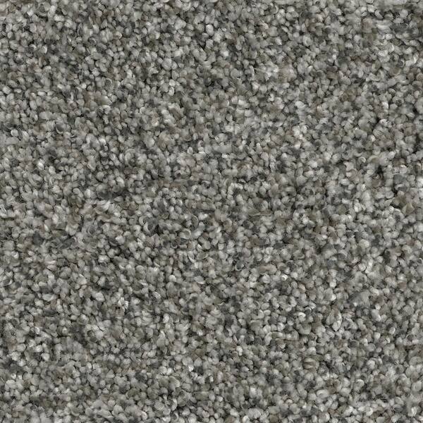 Home Decorators Collection 8 in. x 8 in. Texture Carpet Sample - Trendy ...