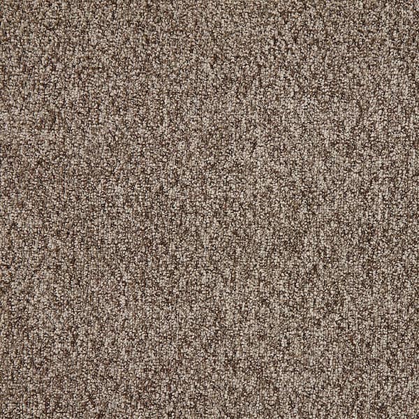 TrafficMaster Lanwick  - Gable - Brown 19 oz. Polyester Pattern Installed Carpet