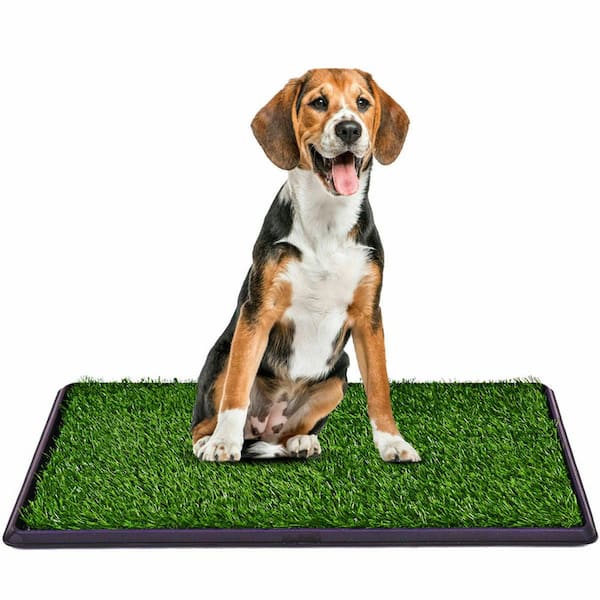 COZIWOW 25 in. x 20 in. Dog Mat Pee Turf CW12L0062 - The Home Depot