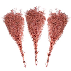 23 in. Pink Baby's Breath Dried Natural (3-Pack)