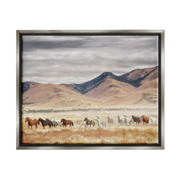 The Stupell Home Decor Collection Wild Horses Roaming Across Western Landscape by PH Burchett Floater Frame Animal Wall Art Print 17 in. x 21 in.