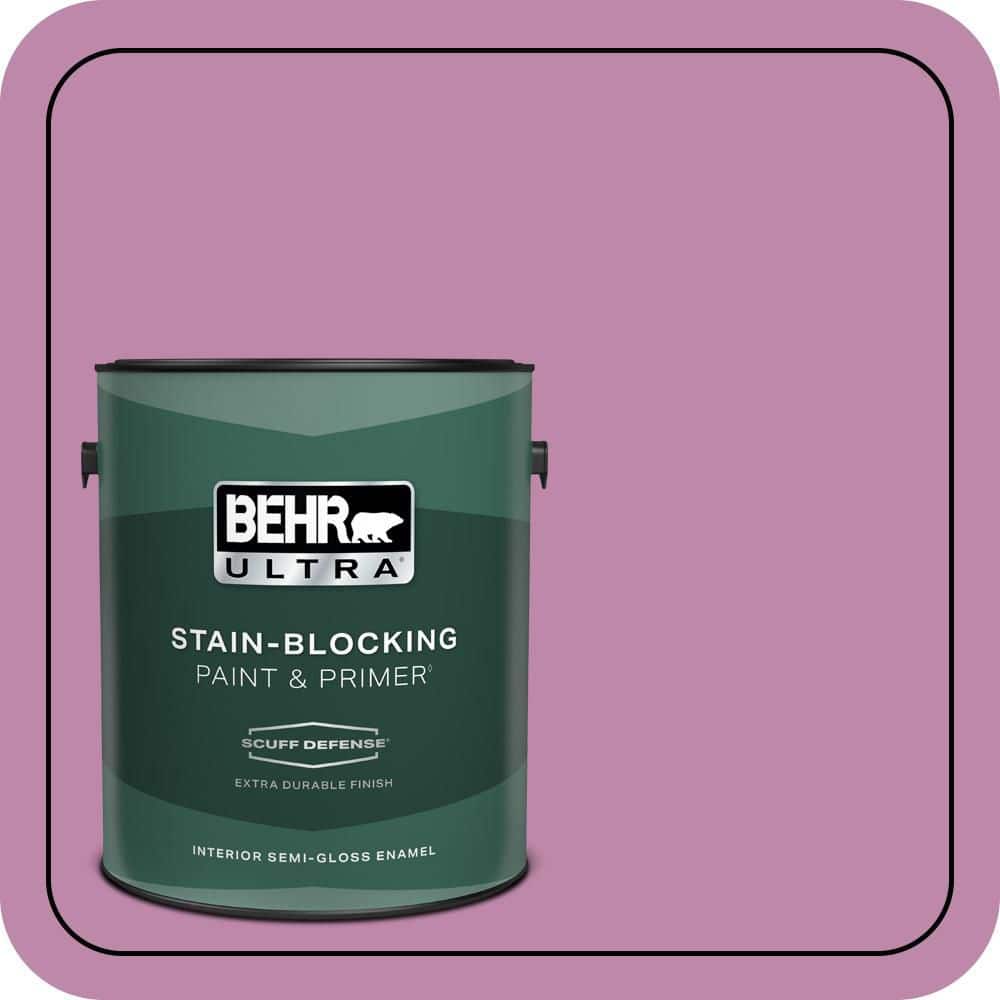 1 gal. #M120-5 Rosy Extra Durable Semi-Gloss Enamel Interior Paint & Primer price history on PriceWatchPro
