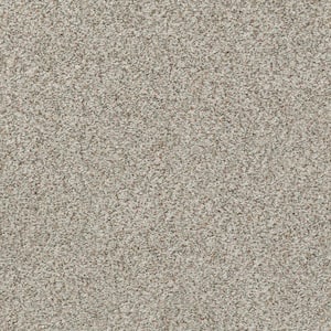 Karma II - Balsa - Beige 50.5 oz. Nylon Texture Installed Carpet