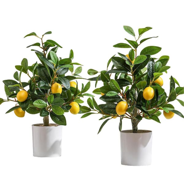 2-Pieces 1.3 ft. Artificial Lemon Trees in White Pots-Faux Citrus Plants for Home and Office Decor