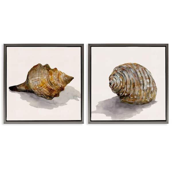 Neutral Beach Shells by Jacob Q 2-Pieces Gray Floater Frame Coastal Graphic Art Print 18 in. x 18 in.