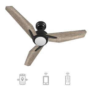 Tilbury 52 in. Integrated LED Indoor/Outdoor Black Smart Ceiling Fan with Light and Remote, Works with Alexa/Google Home