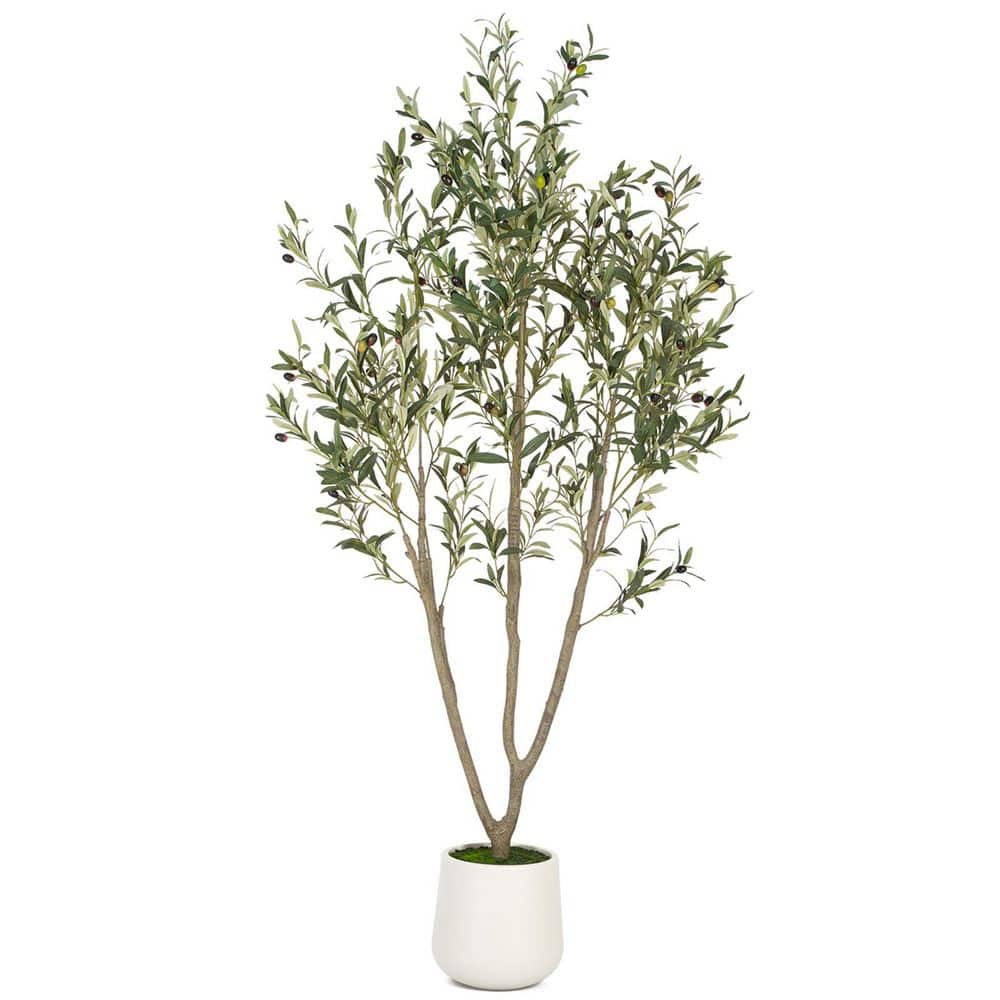 6ft Faux Olive Tree with White Plastic Planter