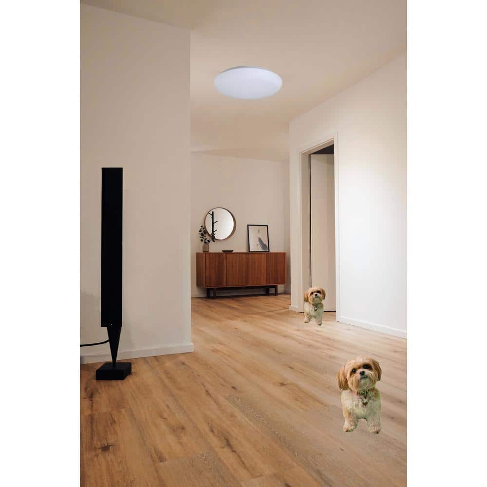 White Glass Drum LED Flush Mount Light, 11 Inch
