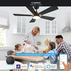 Bradford 52 in. Dimmable LED Indoor/Outdoor Black Smart Ceiling Fan with Light and Remote, Works with Alexa/Google Home