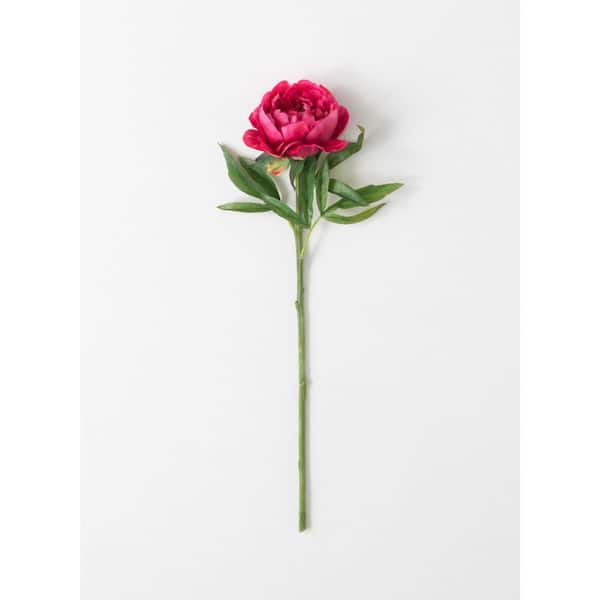 SULLIVANS 24 in. Pink Artificial Real Garden Peony Stem