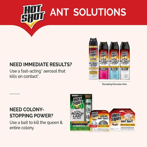 Hot Shot MaxAttrax Ant Bait (4-Count) (2-Pack) HG-2040W-MP - The