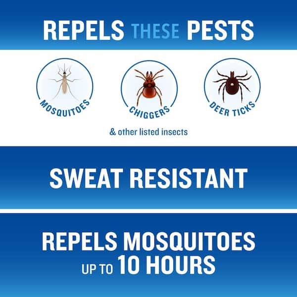 6 oz. Backwoods Aerosol Mosquito and Insect Repellent Spray