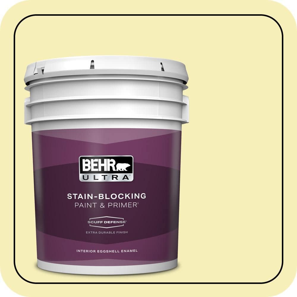 5 gal. #400A-2 Summer Resort Extra Durable Eggshell Enamel Interior Paint & Primer product image for price tracking