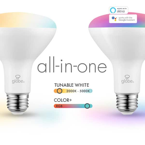 globe smart light bulb offline