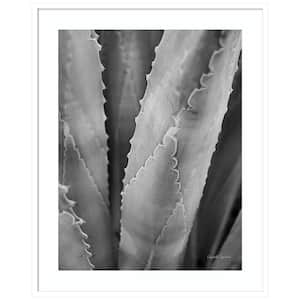 "Abstract Agave I" by Elizabeth Urquhart 1 Piece Wood Framed Black and White Nature Photography Wall Art 41-in. x 33-in.